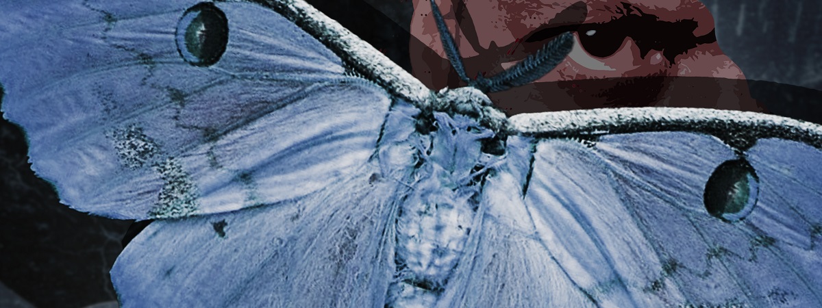 A picture of a moth at the forefront covers a person's face with only an eye and ear visible in the promotional image for The Moth.