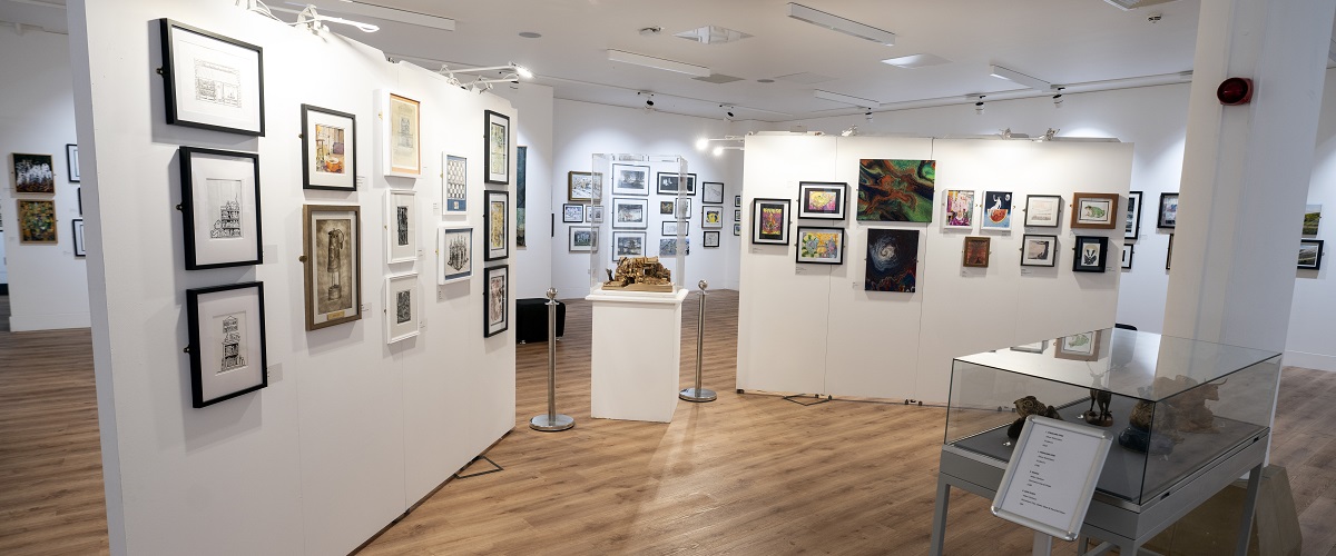 Artwork on display as part of the Open Art Exhibition at the Gallery at Bishop Auckland Town Hall.