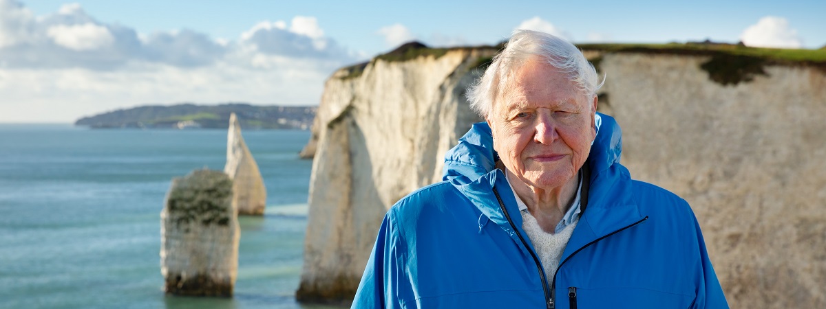 David Attenborough in a still from Ocean with David Attenborough.