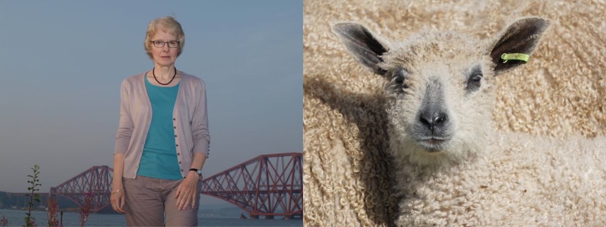 Photographer Elaine Vizor and a photograph of a new Wensleydale lamb against their mother's fleece.