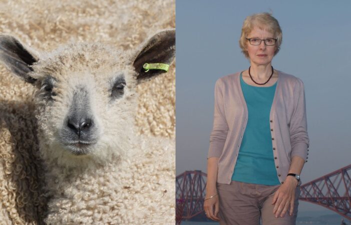 Photographer Elaine Vizor and a photograph of a new Wensleydale lamb against their mother's fleece.
